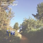 Camino Cadeaukaart