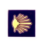 Camino Magneet Schelp
