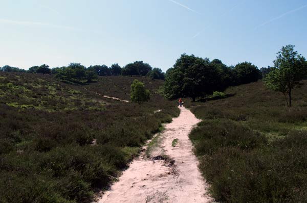 Pelgrimstocht naar Santiago de Compostela