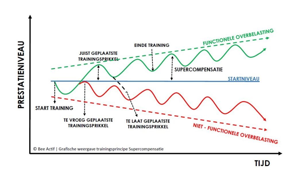 Supercompensatie: onmisbaar bij trainen voor de Camino 1 Supercompensatie voor het trainen voor de Camino